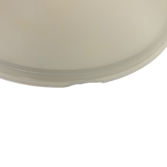 Vintage Tupperware Opaque Storage Container #266-12 and Lid #229-23 Kitchen - Picture 8 of 9